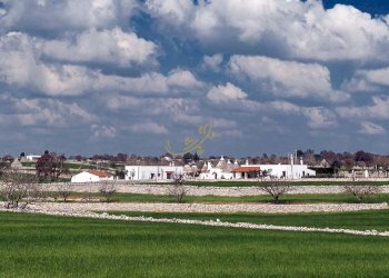 Foto 2 - Baita Contrada Casa Le Gatte, Noci - foto 2