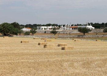 Foto 13 - Baita Contrada Casa Le Gatte, Noci - foto 13