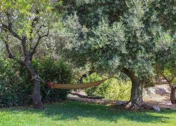 Foto 17 - Villa Contrada Padre Sergio, Monopoli - foto 17