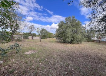 Foto 14 - Baita Strada Comunale delle Guadiane, Castellana Grotte - photo 14