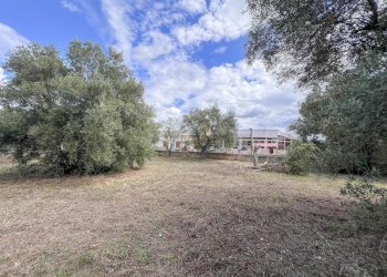 Foto 15 - Baita Strada Comunale delle Guadiane, Castellana Grotte - photo 15