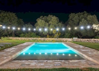 Foto 16 - Baita Str. Comunale Pozzo Martino, Putignano - foto 16