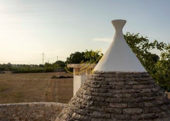 Foto 22 - Baita Str. Comunale Pozzo Martino, Putignano - foto 22