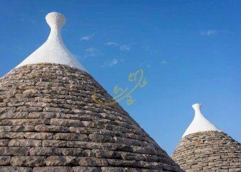 Foto 23 - Baita Str. Comunale Pozzo Martino, Putignano - foto 23