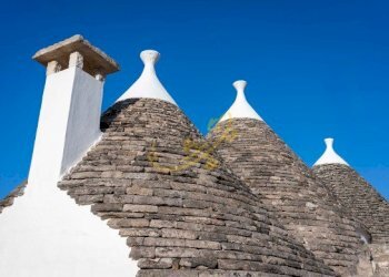 Foto 26 - Baita Str. Comunale Pozzo Martino, Putignano - foto 26