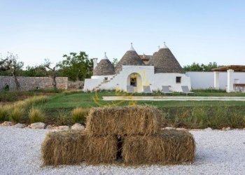 Foto 29 - Baita Str. Comunale Pozzo Martino, Putignano - foto 29