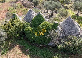 Foto 5 - Baita S.C. Cordone, Castellana Grotte - photo 5