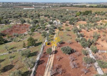 Foto 10 - Baita S.C. Cordone, Castellana Grotte - photo 10