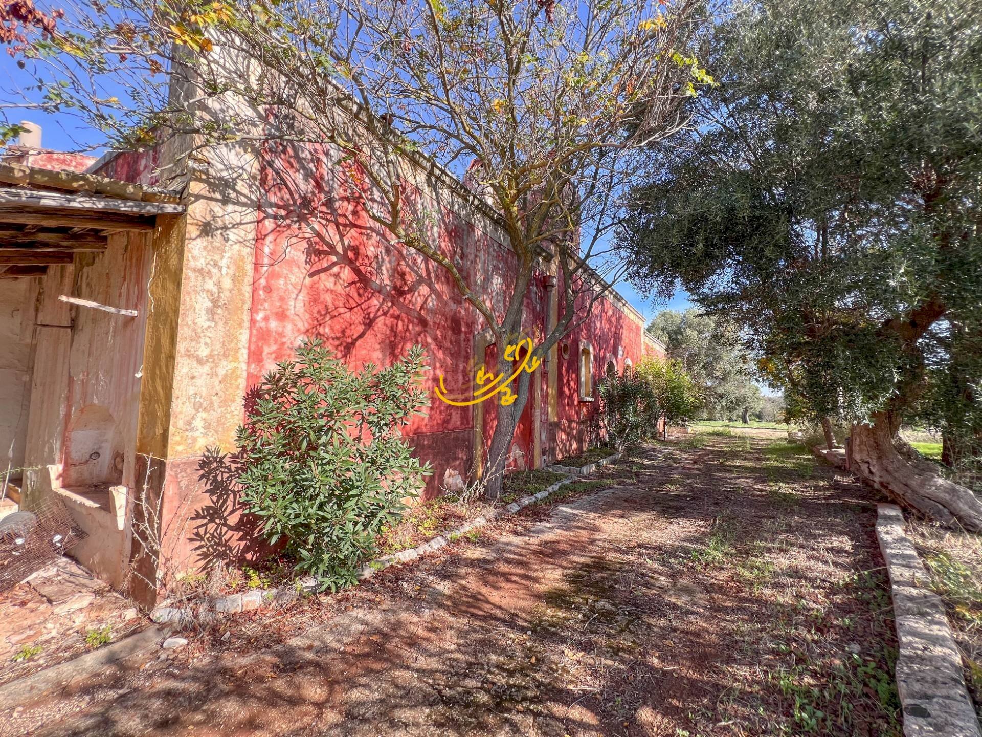 Foto 3 - Rustic St. Selva di Fasano, Castellana Grotte - photo 3