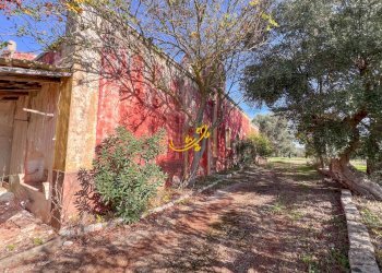 Foto 3 - Rustic St. Selva di Fasano, Castellana Grotte - photo 3