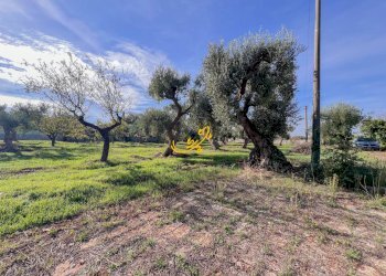 Foto 10 - Rustic St. Selva di Fasano, Castellana Grotte - photo 10