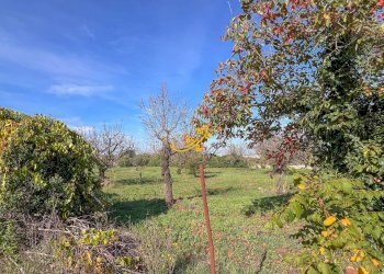 Foto 11 - Rustic St. Selva di Fasano, Castellana Grotte - photo 11