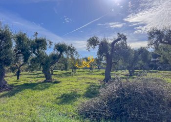 Foto 12 - Rustic St. Selva di Fasano, Castellana Grotte - photo 12