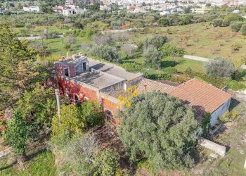 Foto 14 - Rustic St. Selva di Fasano, Castellana Grotte - photo 14