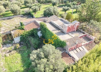 Foto 16 - Rustic St. Selva di Fasano, Castellana Grotte - photo 16