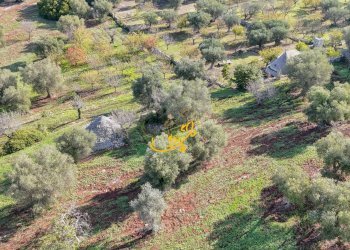 Foto 17 - Rustic St. Selva di Fasano, Castellana Grotte - photo 17