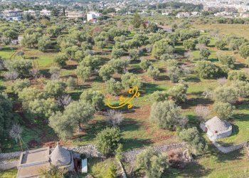 Foto 18 - Rustic St. Selva di Fasano, Castellana Grotte - photo 18