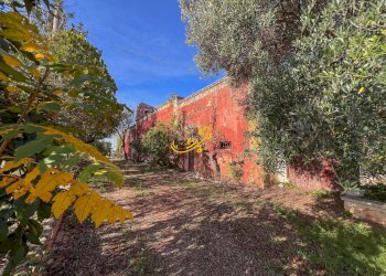 Foto 22 - Rustic St. Selva di Fasano, Castellana Grotte - photo 22