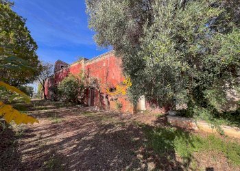 Foto 23 - Rustic St. Selva di Fasano, Castellana Grotte - photo 23