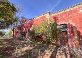 Foto 24 - Rustic St. Selva di Fasano, Castellana Grotte - photo 24