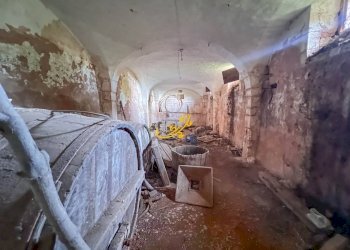 Foto 34 - Rustic St. Selva di Fasano, Castellana Grotte - photo 34