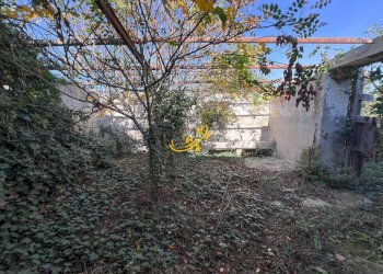 Foto 38 - Rustic St. Selva di Fasano, Castellana Grotte - photo 38