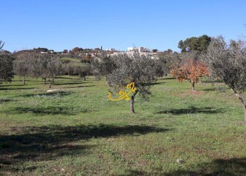 Foto 17 - Rustic Contrada Mangiatello, Martina Franca - photo 17