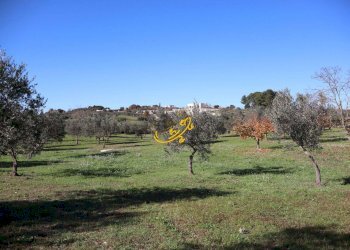 Foto 19 - Rustic Contrada Mangiatello, Martina Franca - photo 19