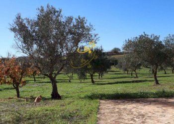 Foto 20 - Rustic Contrada Mangiatello, Martina Franca - photo 20