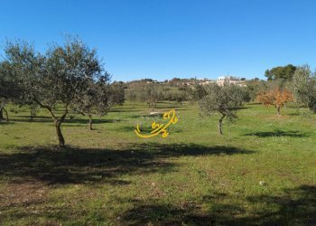 Foto 21 - Rustic Contrada Mangiatello, Martina Franca - photo 21