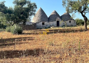 Foto 2 - Baita Contrada Capo di Gallo, Martina Franca - photo 2