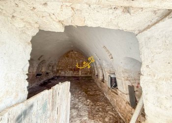 Foto 9 - Rustico Contrada Raschizzo, Noci - foto 9