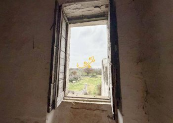 Foto 16 - Rustico Contrada Raschizzo, Noci - foto 16