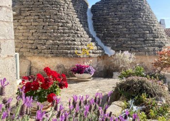 Foto 25 - Baita Strada Comunale del Tronco, Castellana Grotte - photo 25