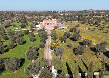 Foto 4 - Rustic S.C. Santo Stefano
 
27, Castellana Grotte - photo 4