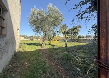 Foto 14 - Rustic S.C. Santo Stefano
 
27, Castellana Grotte - photo 14