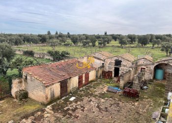 Foto 47 - Rustic S.C. Santo Stefano
 
27, Castellana Grotte - photo 47