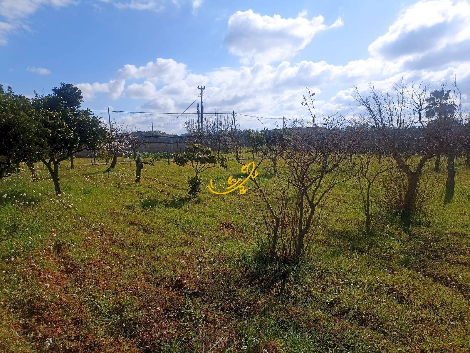 Foto 2 - Villa Contrada Cozze, Conversano - photo 2