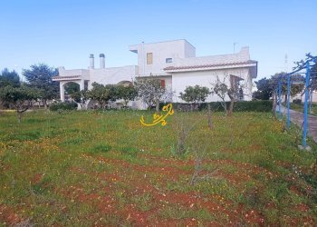 Foto 3 - Villa Contrada Cozze, Conversano - foto 3