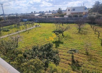 Foto 4 - Villa Contrada Cozze, Conversano - foto 4