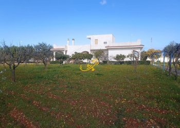 Foto 26 - Villa Contrada Cozze, Conversano - foto 26