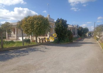 Foto 32 - Villa Contrada Cozze, Conversano - foto 32