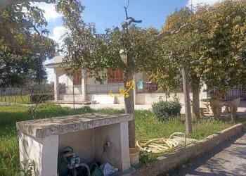 Foto 33 - Villa Contrada Cozze, Conversano - foto 33