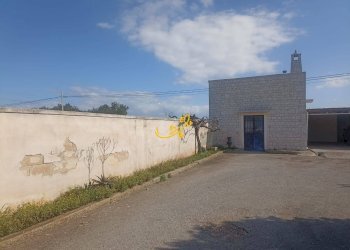 Foto 35 - Villa Contrada Cozze, Conversano - foto 35