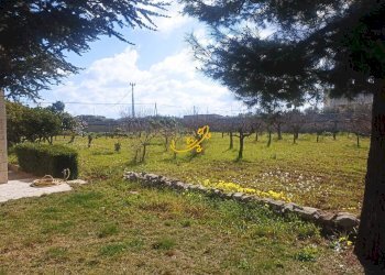 Foto 38 - Villa Contrada Cozze, Conversano - foto 38