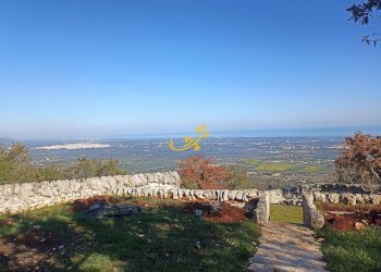 Foto 1 - Villa Contrada Tumbinno, Locorotondo - foto 1