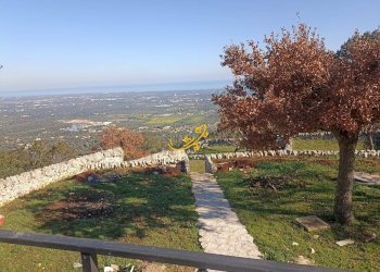 Foto 18 - Villa Contrada Tumbinno, Locorotondo - foto 18