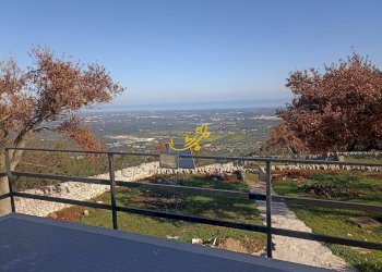 Foto 20 - Villa Contrada Tumbinno, Locorotondo - foto 20