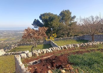 Foto 23 - Villa Contrada Tumbinno, Locorotondo - foto 23