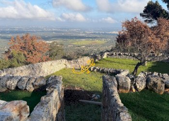 Foto 17 - Villa Contrada Tumbinno, Locorotondo - foto 17